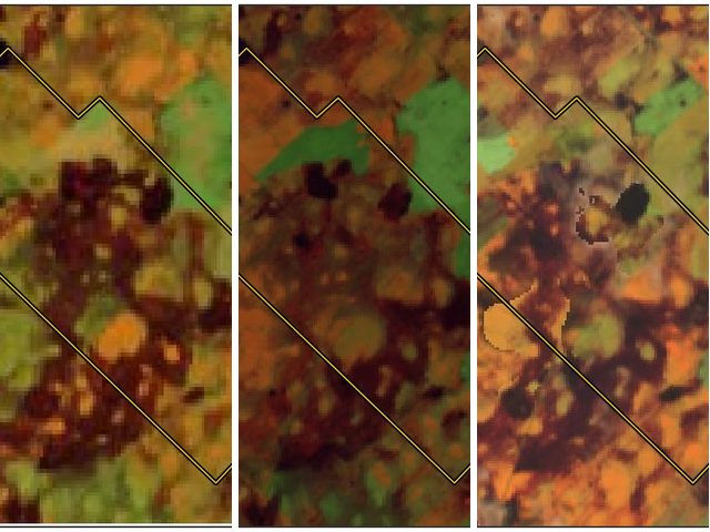 Imágenes satelitales de referencia