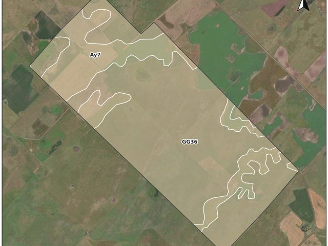 Mapa de suelos del campo