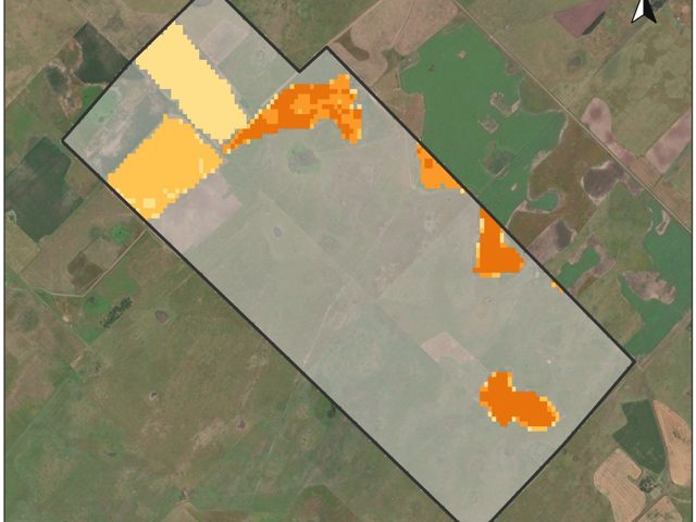 Mapa de uso agrícola observado